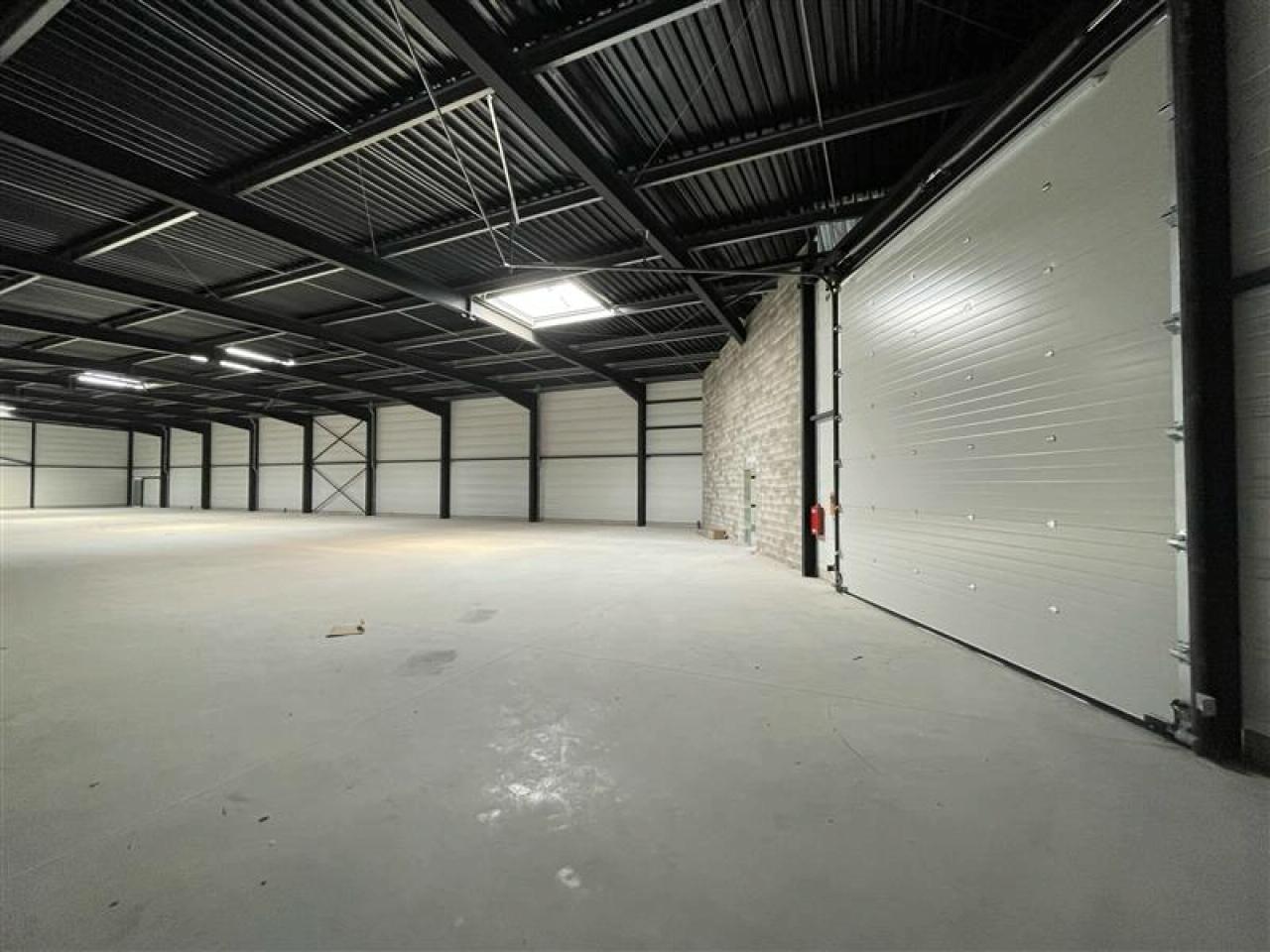 Local d'activité Mauguio 1238m² Location local d'activité Mauguio Hérault OLACT2204375 5